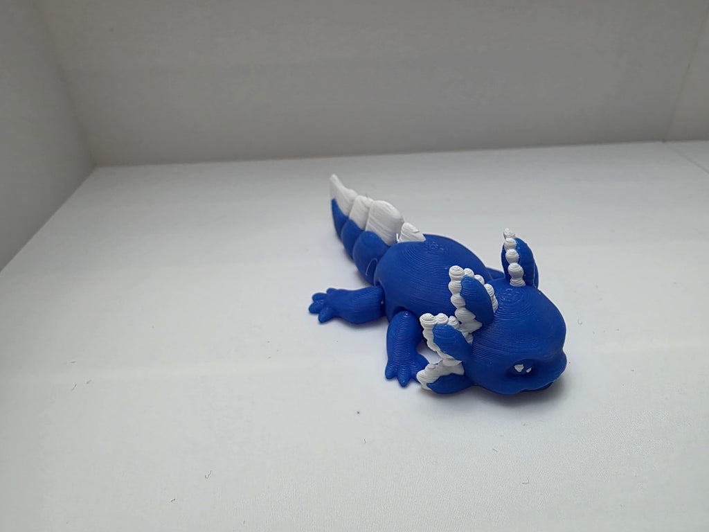 Blue and White Axolotls