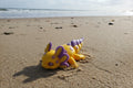 Yellow and Purple Axolotls
