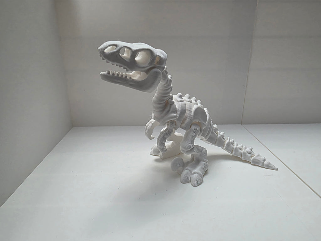 Raptor Dinosaur