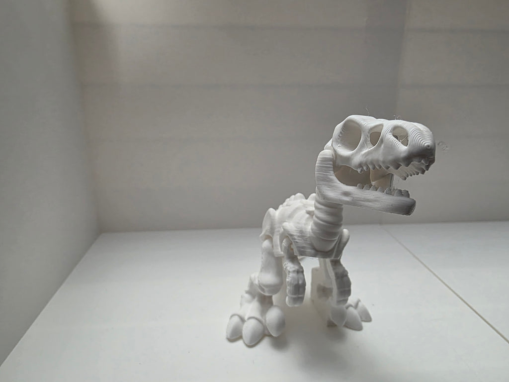 Raptor Dinosaur