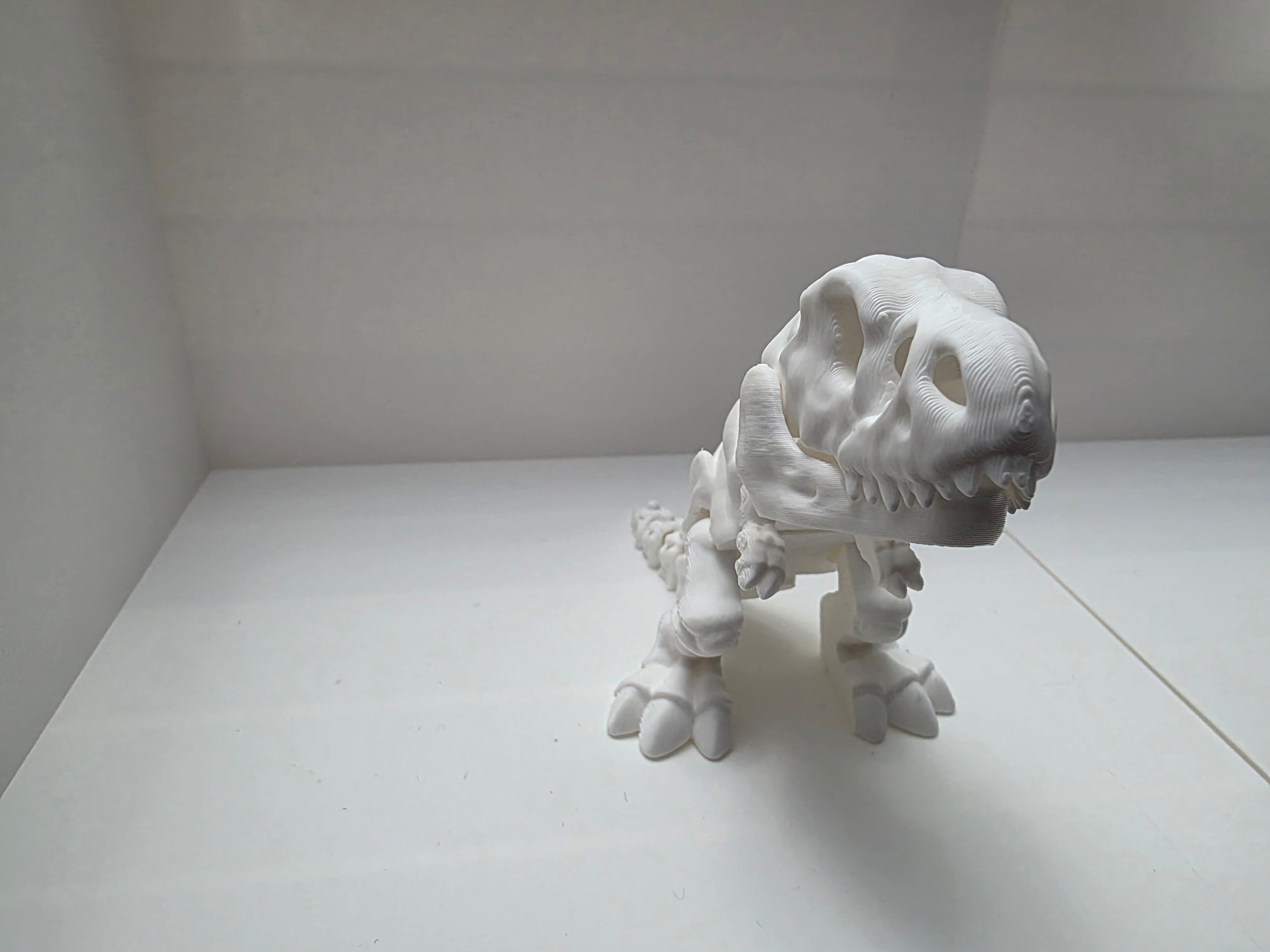 T-Rex Dinosaur