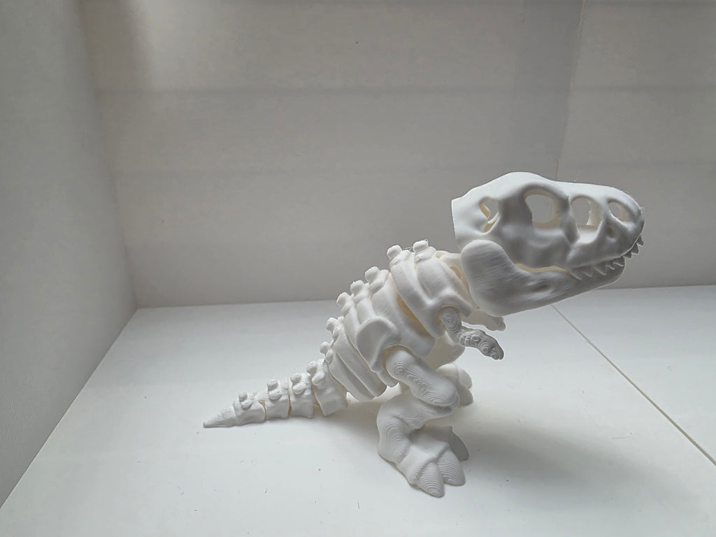 T-Rex Dinosaur