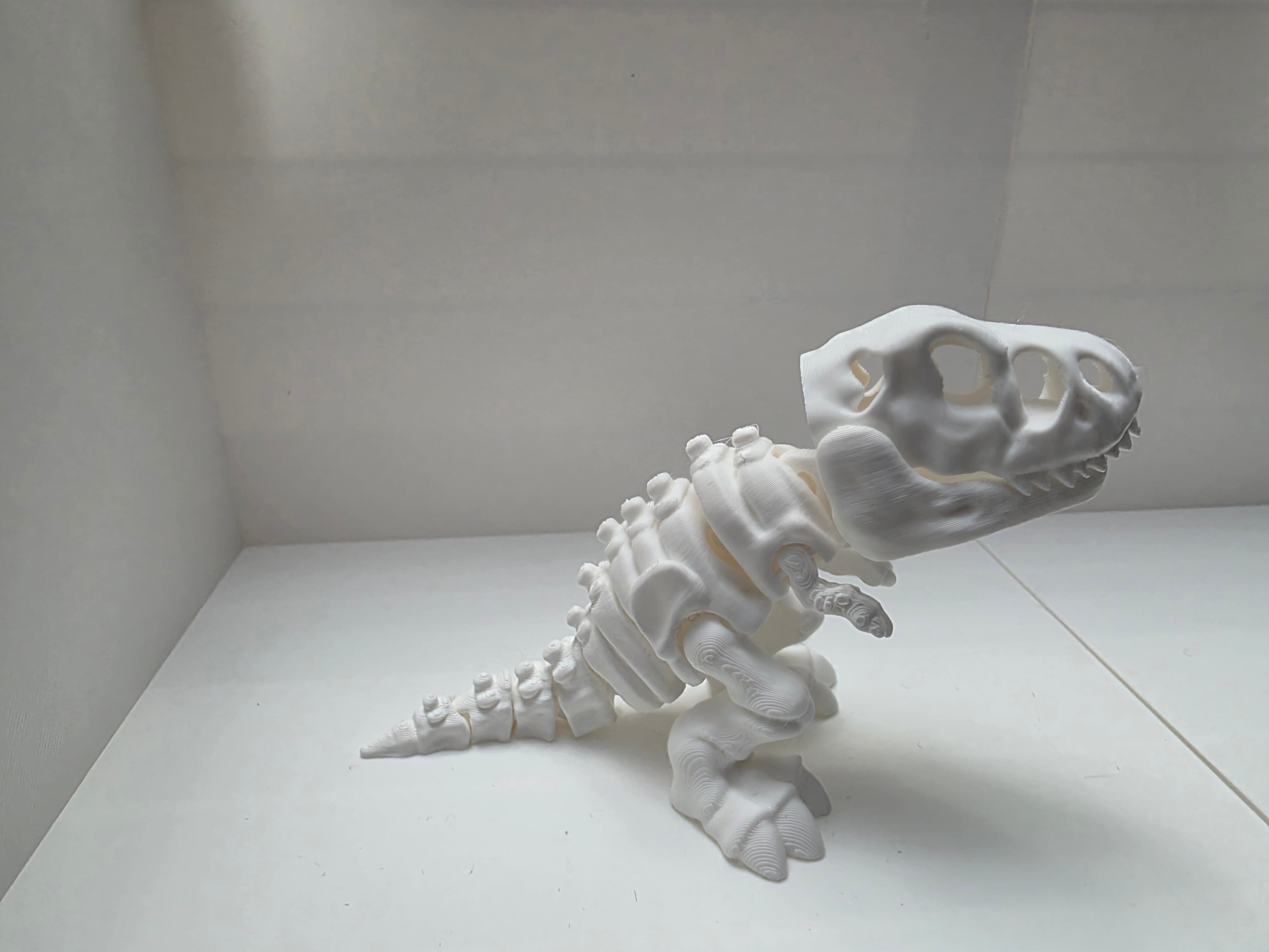 T-Rex Dinosaur