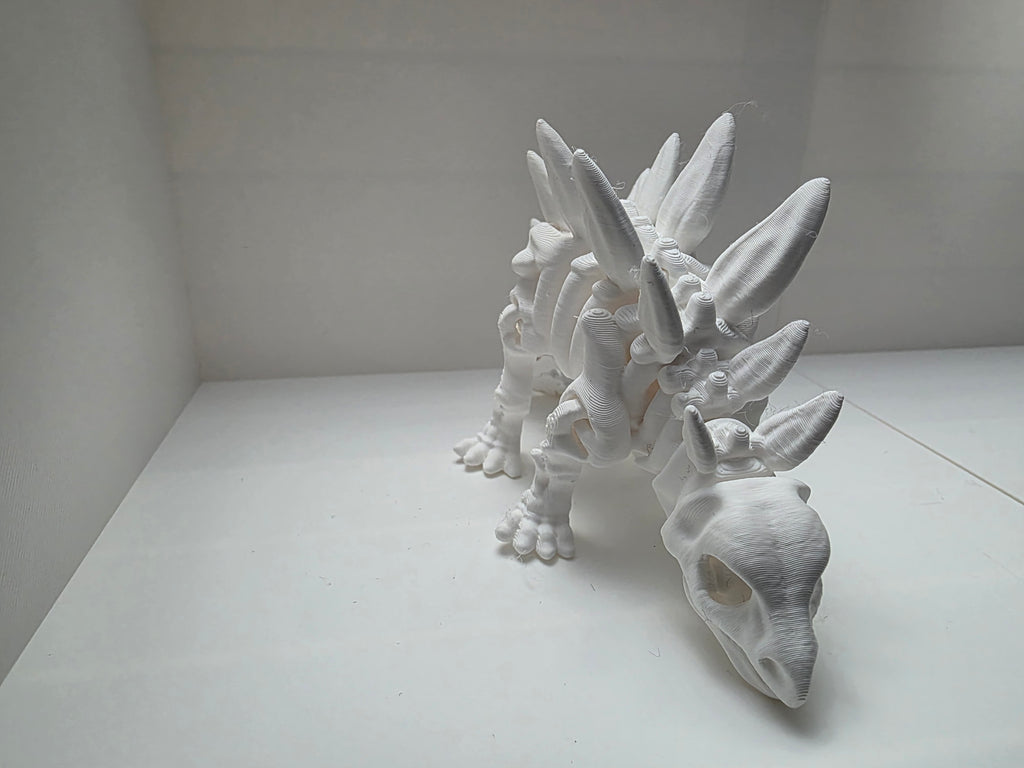 Stegosaurus Dinosaur