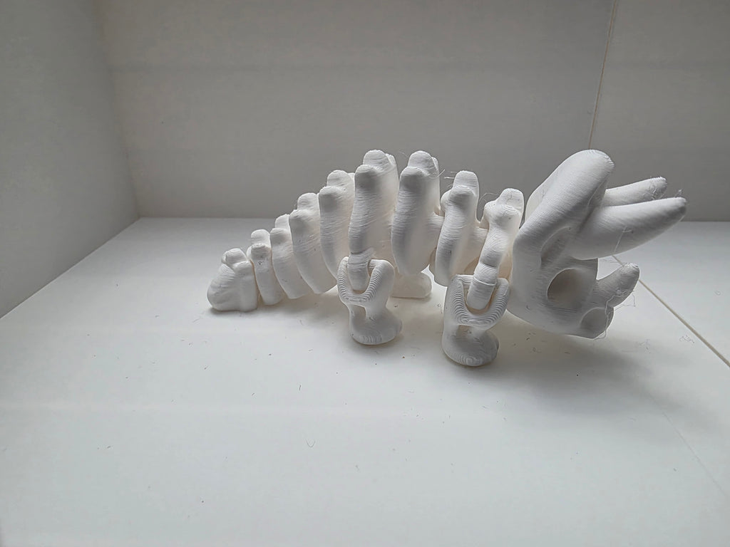 Triceratops